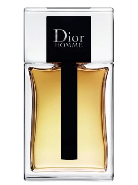 dior homme toilet|christian dior homme 2020.